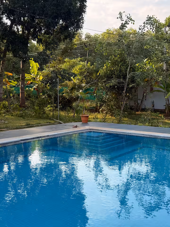 Pool view from the garden